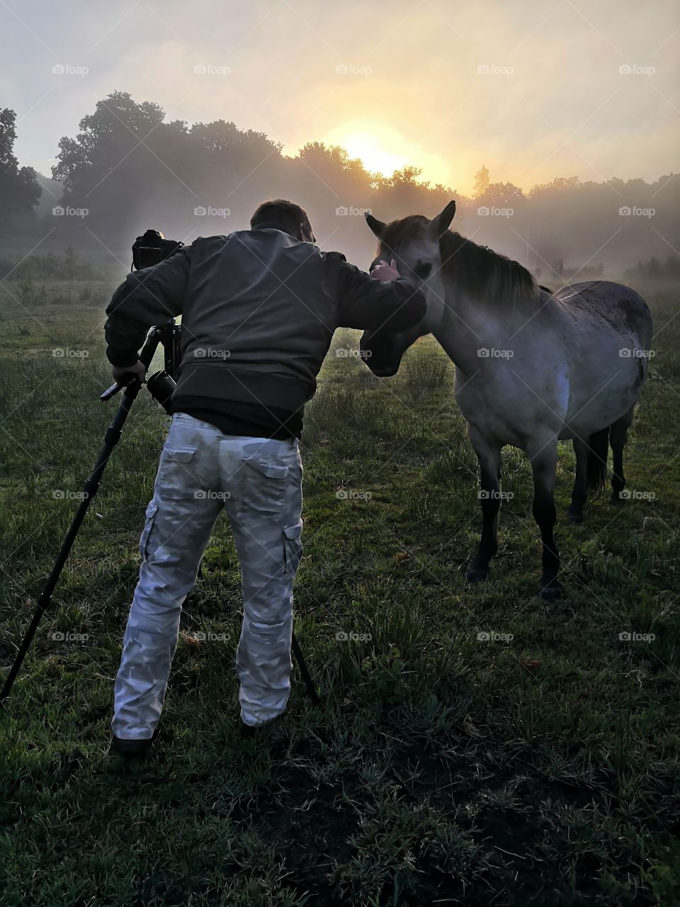 Wild horse and photographer