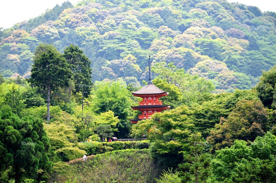 Temple in the mountains