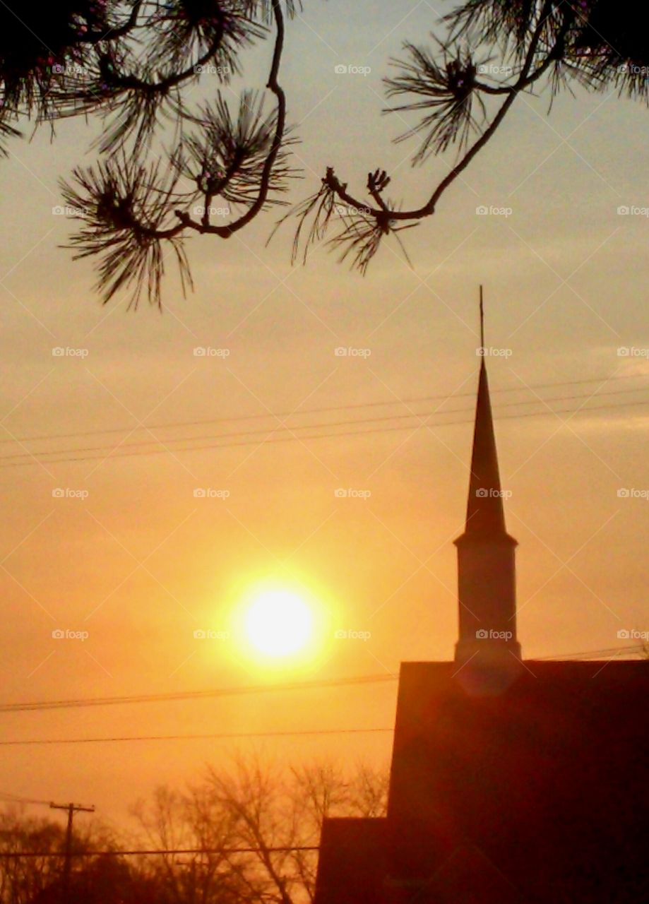 Sunset, No Person, Silhouette, Evening, Tree