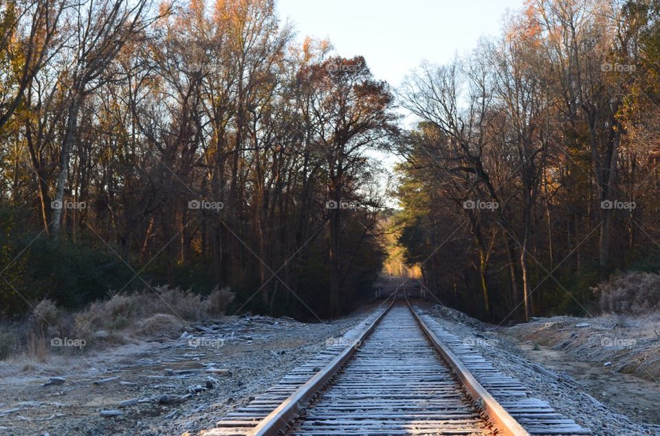 Icey Railroad Tracks