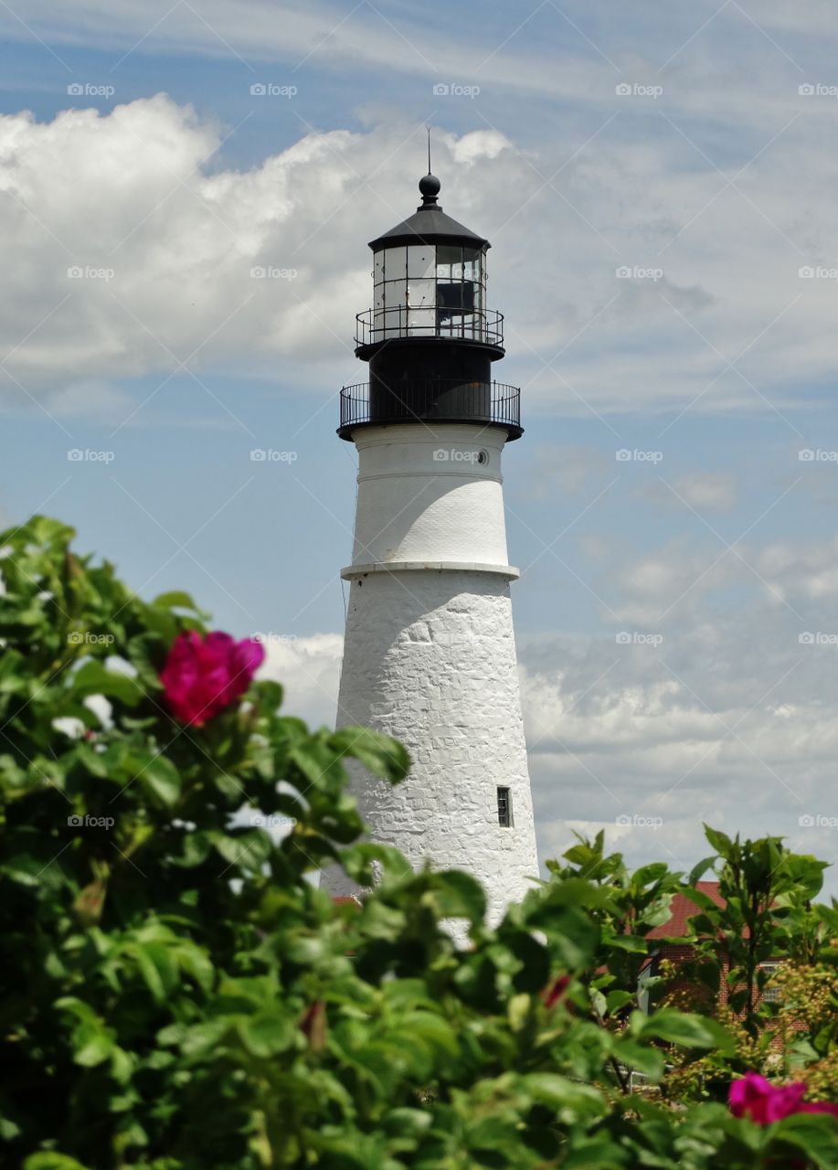 floral framed lighthouse