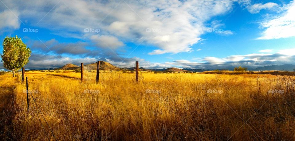 Scenic view of ranchland in Arizona