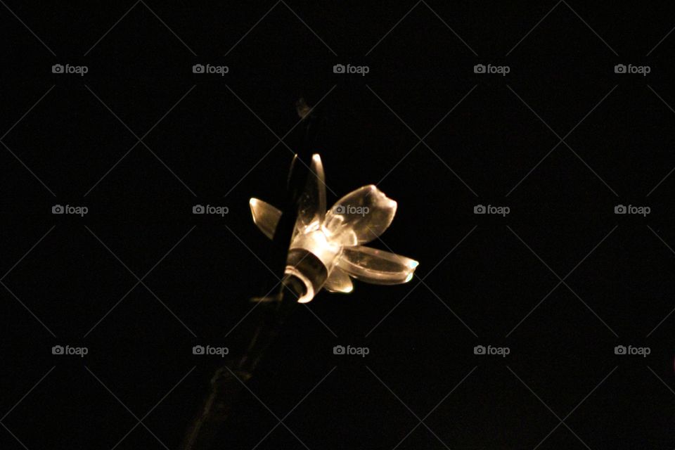 flower light
