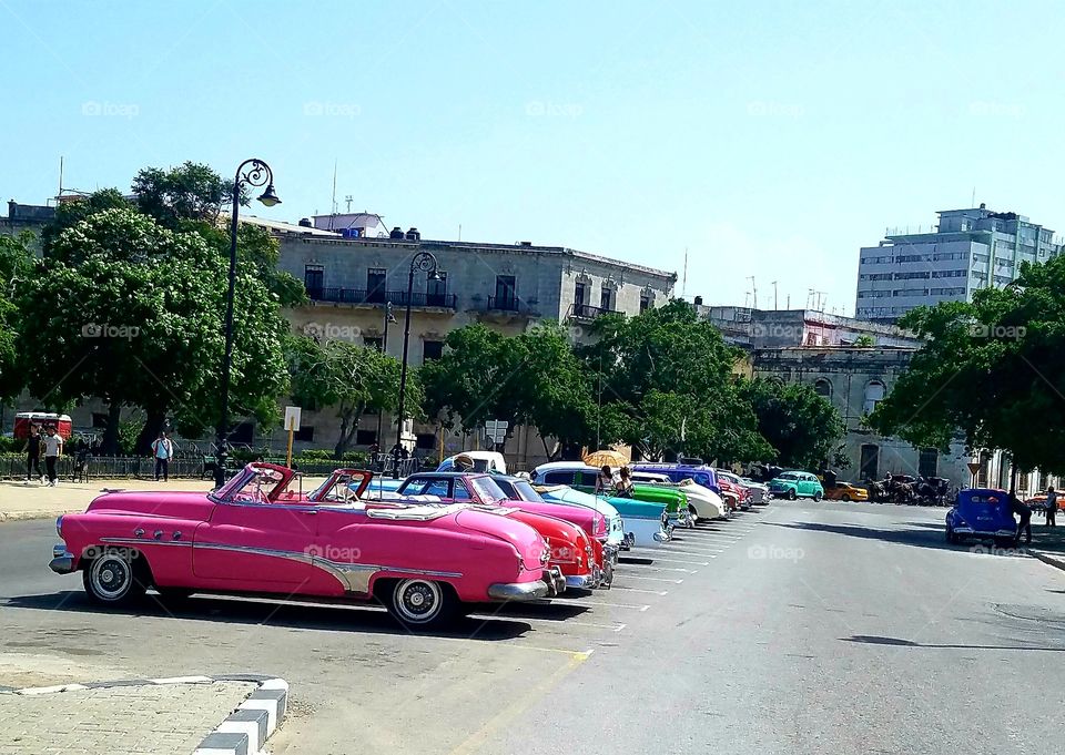 Classic Cars of Havana