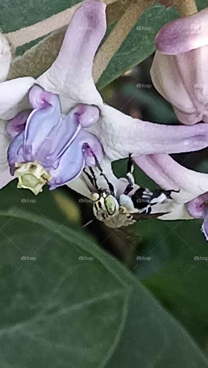 giving a shot in front of the camera with a big bold eyes