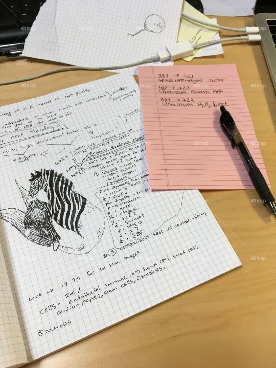 Drawing of a zebra fish on meeting notes in a notebook on a desk top