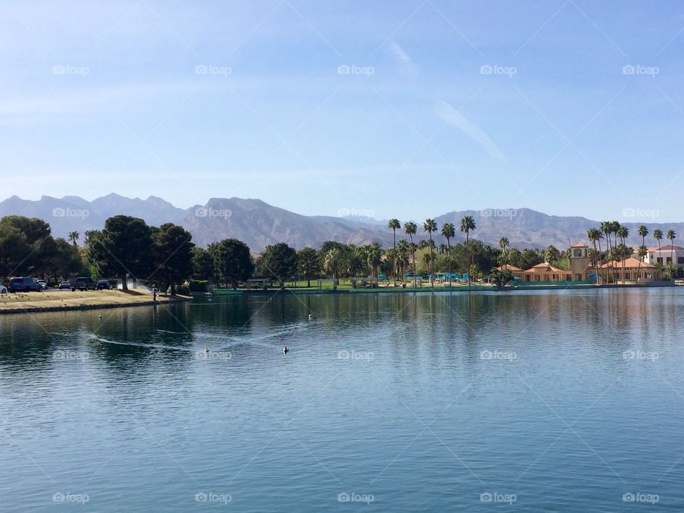 Mountains, lake and ducks in a nice stroll around Las Vegas