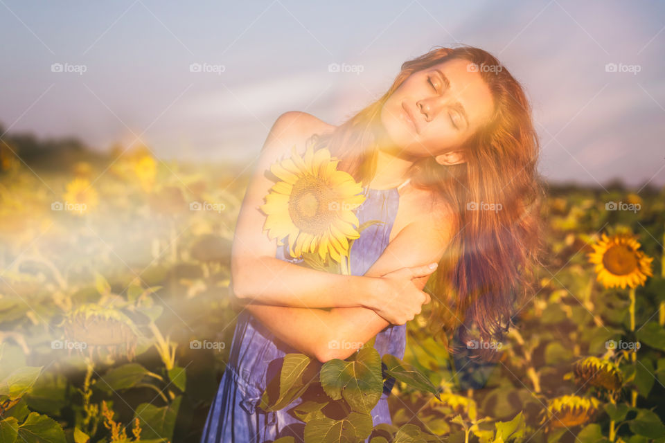 Sunflower summer dream