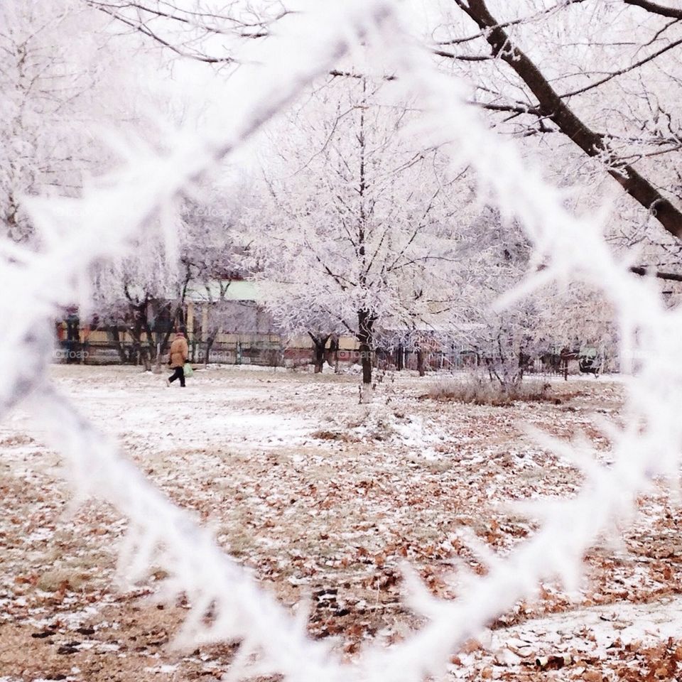 Fence covered with snow