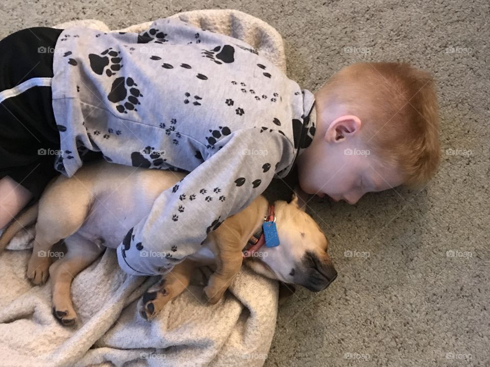 A boy and his puppy 