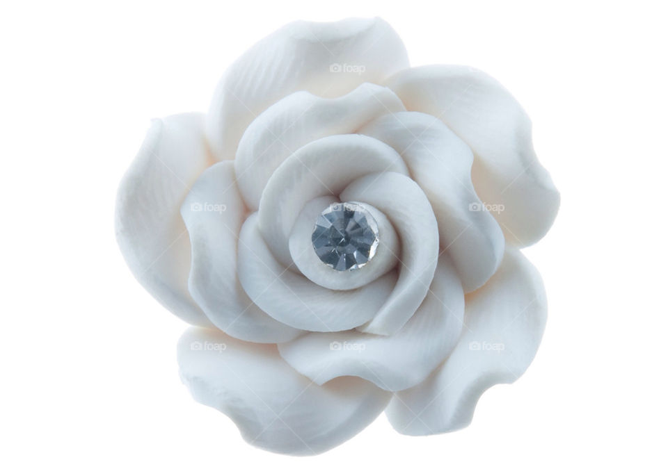 flower macro white rose by mayakerem