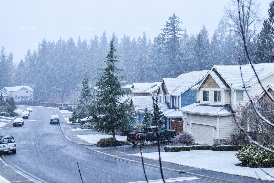 Neighborhood on Winter