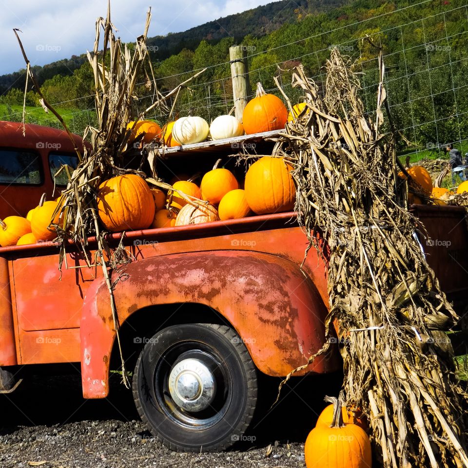 Autumn Truck