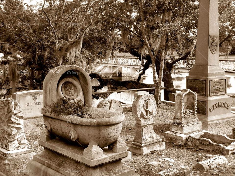 Cemetery in Charleston, NC. Cemetery in Charleston, NC