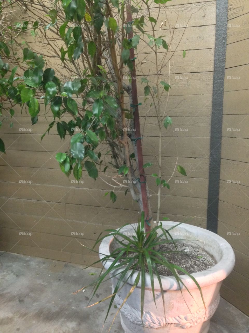 Just That

Published by:
HappyBrownMonkey 