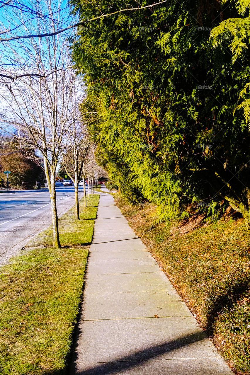 suburban pathway