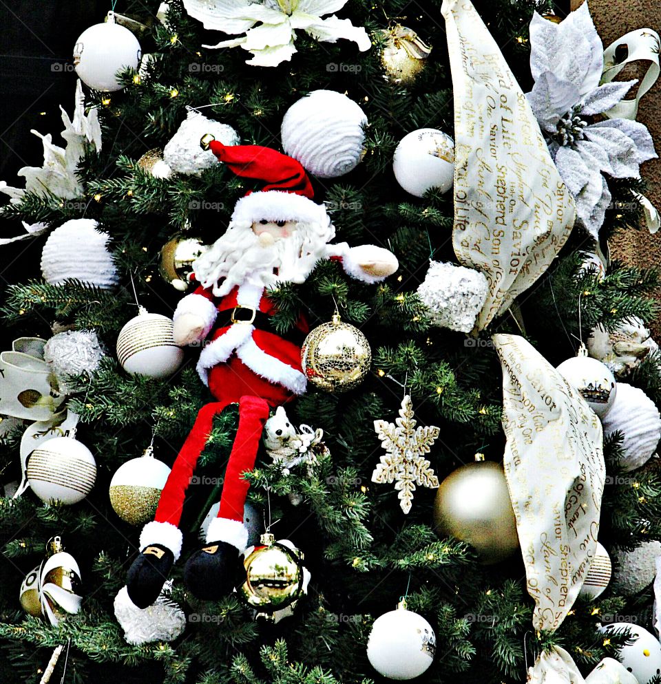 The Most Wonderful Time of the Year