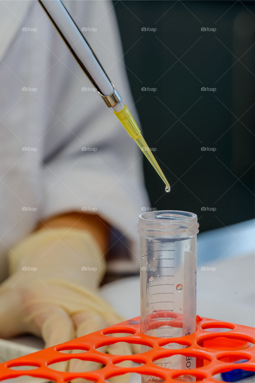 A tiny drop of liquid at the tip of an autopipette. A scientist dispensing a set volume of liquid into a receptacle commonly known as a falcon tube.
