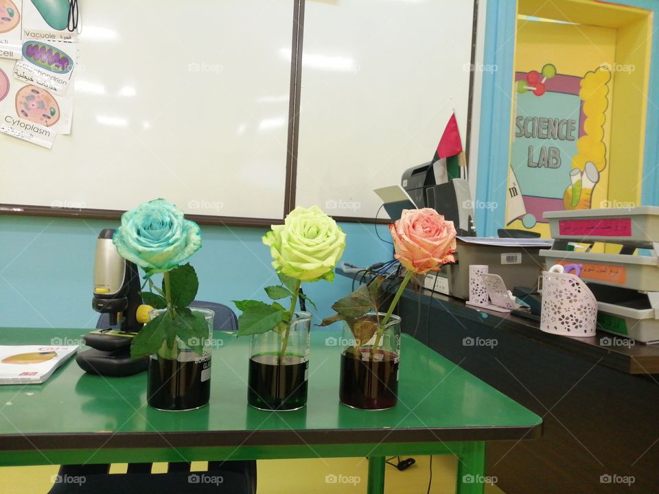 Experiments in the science classroom.