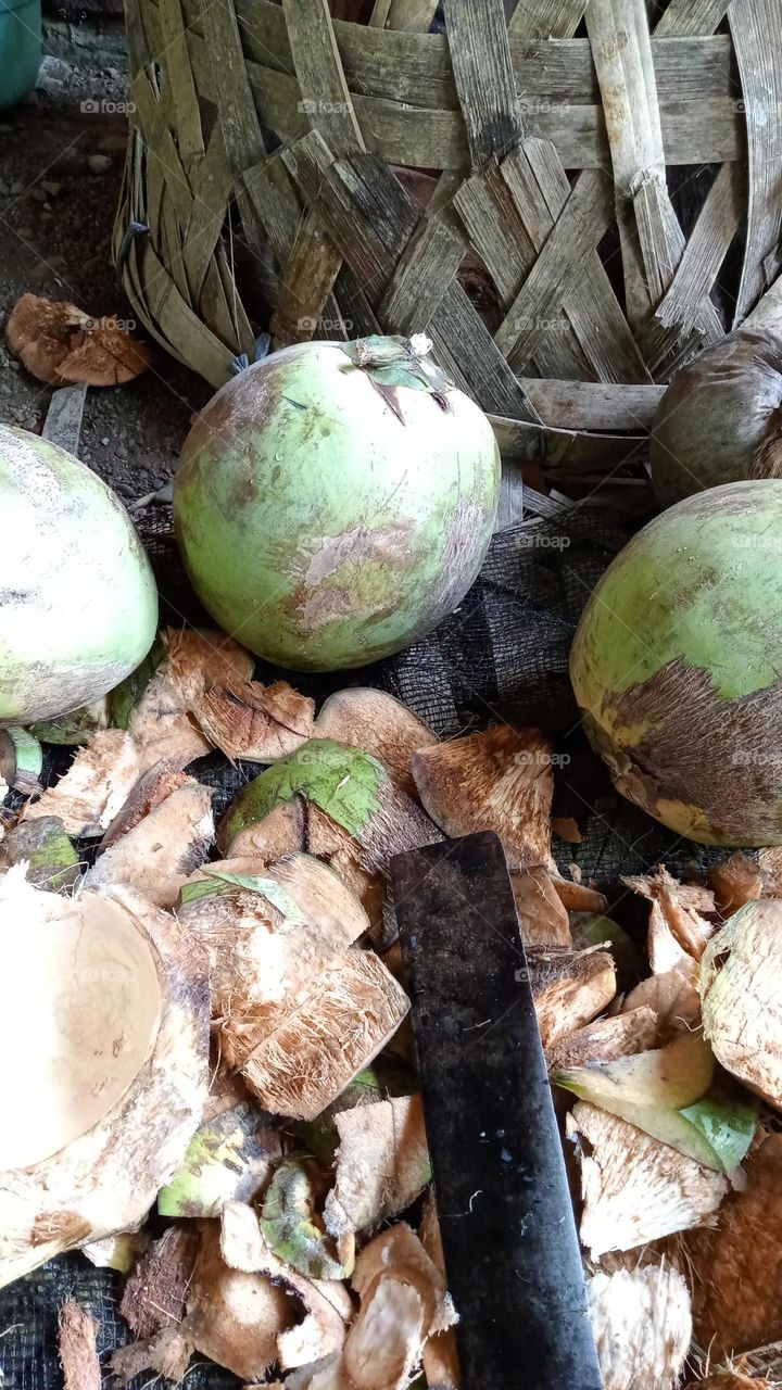 photo or image about the shape of fragrant pandan coconut or coconut from Thailand
