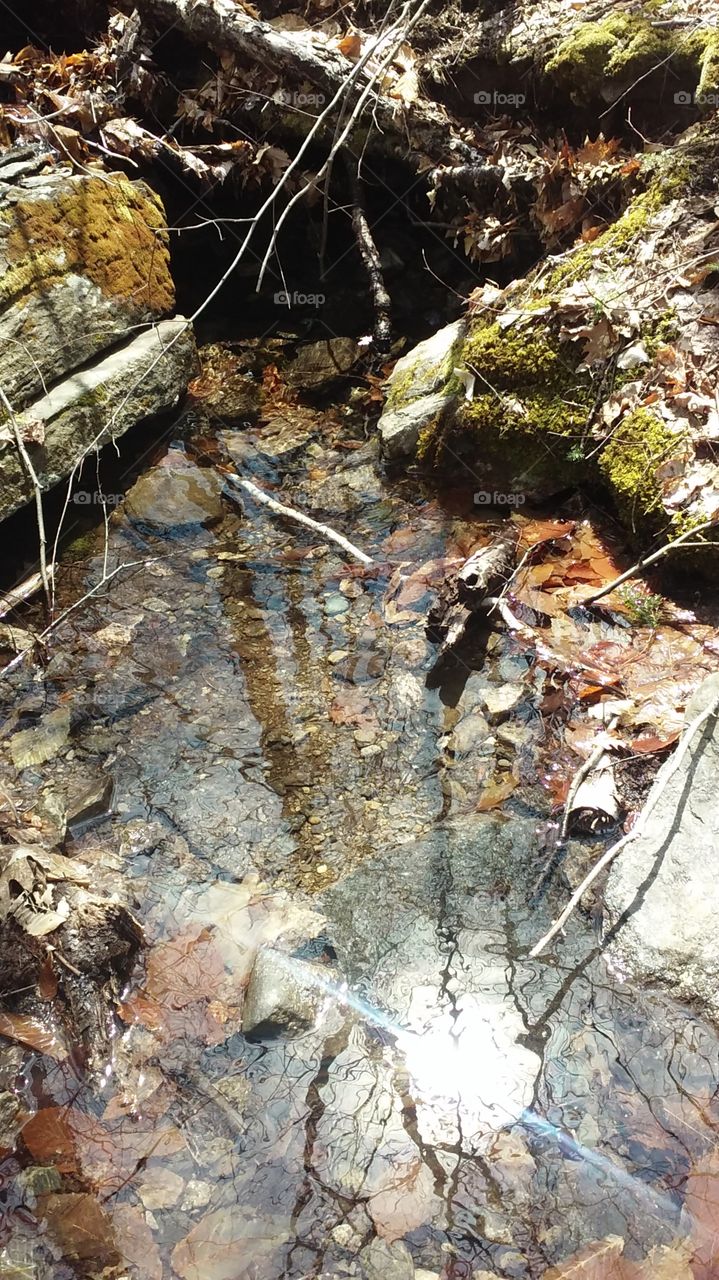 Crystal clear water in the stream.