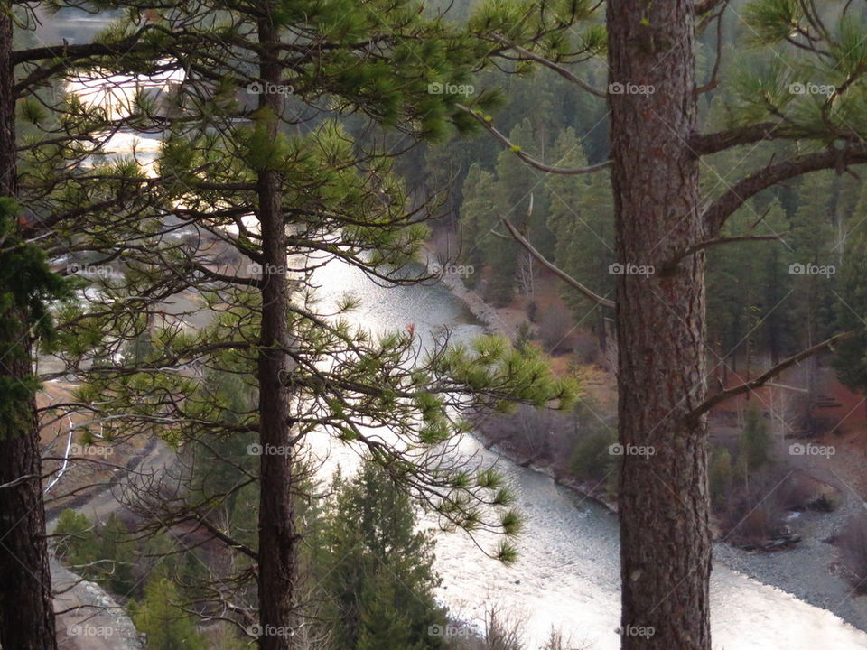 overlook view of the river