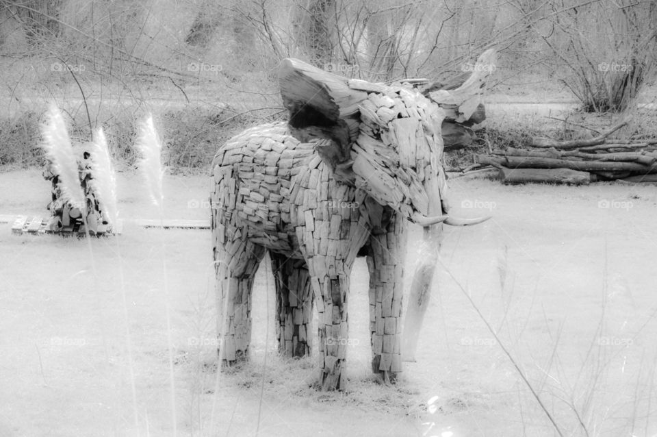 Hazy Wooden Statue Of An Elephant