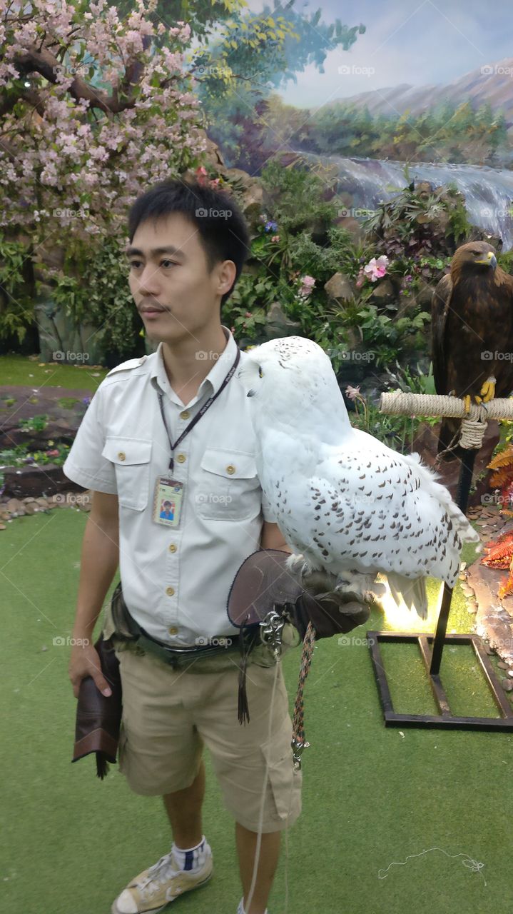 Man with owl