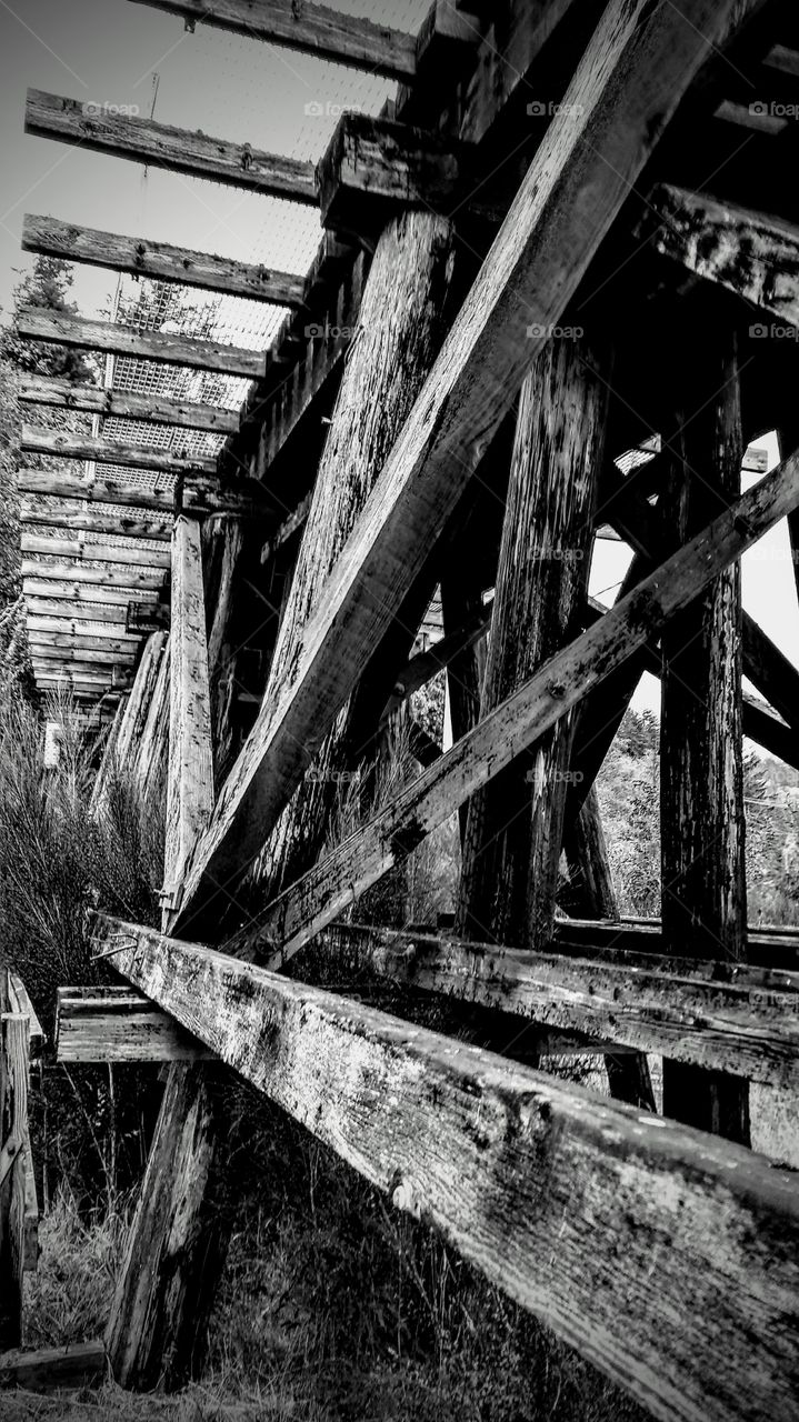 Bridge on the Siuslaw