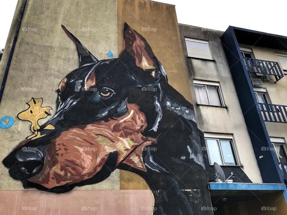 Street art, Portugal. Dangerous dog and his bird.