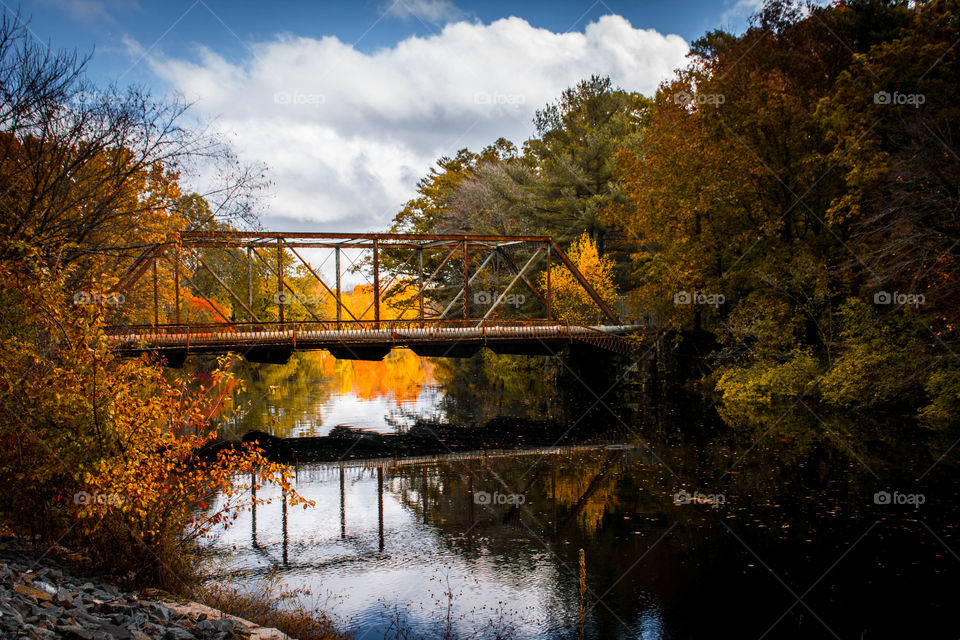 Fall, Water, Bridge, Tree, Landscape
