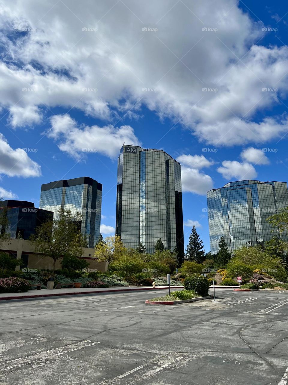 View of the Warner Center Towers from a parking lot in Woodland Hills 