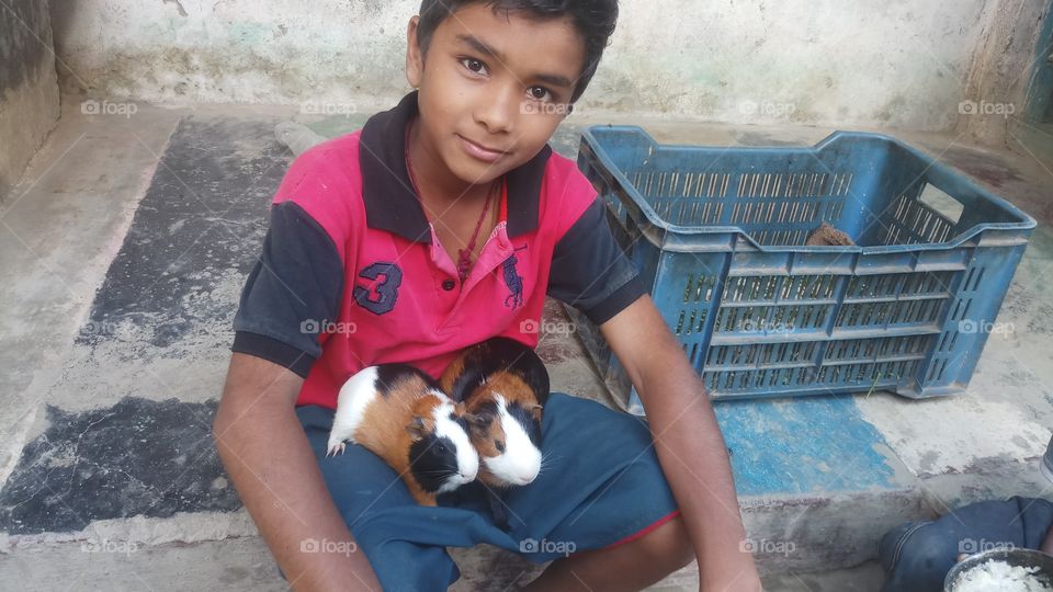 The guinea pig or domestic guinea or domestic cavy is a species of rodent belonging to the family Caviidae and the genus Cavia.
I found in Nepal.