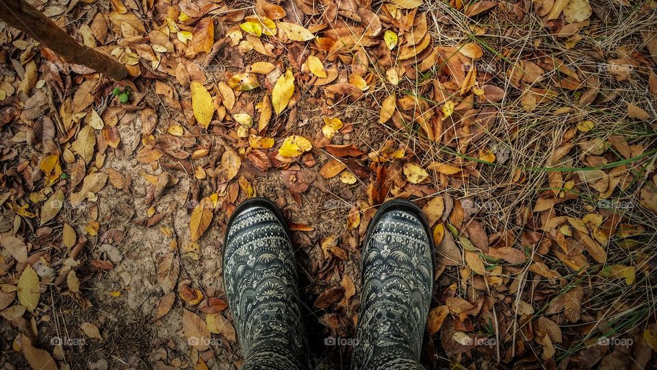 A Woman's feet wearing mud boots walking in golden leaves first signs of autumn