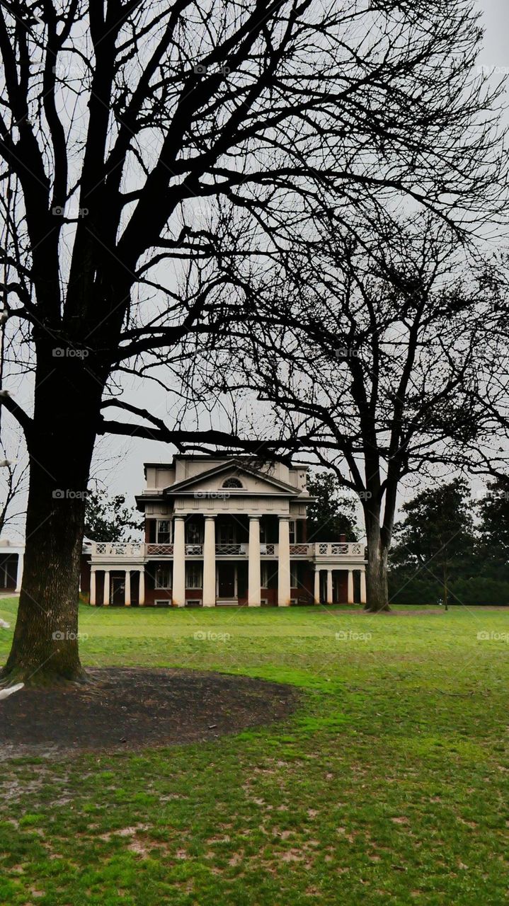 University of Virginia professor home 