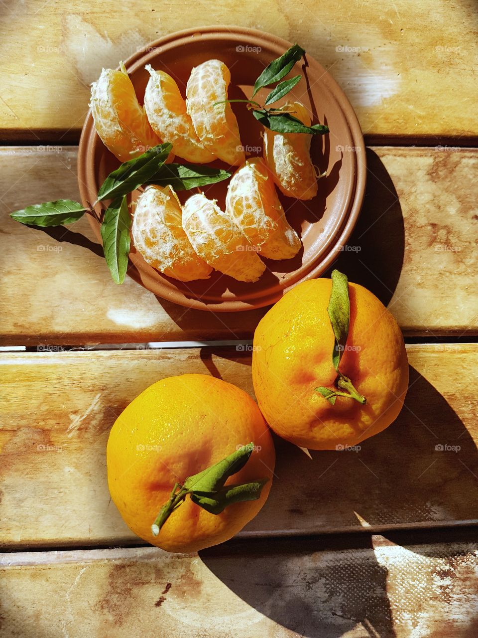 Fruits on the sun morning