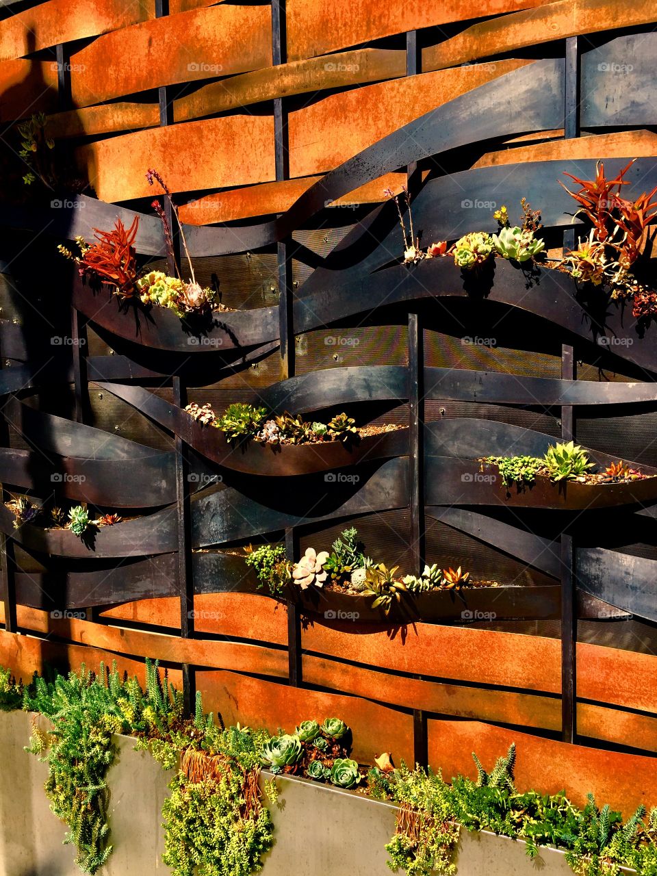 Artistic wall of succulents