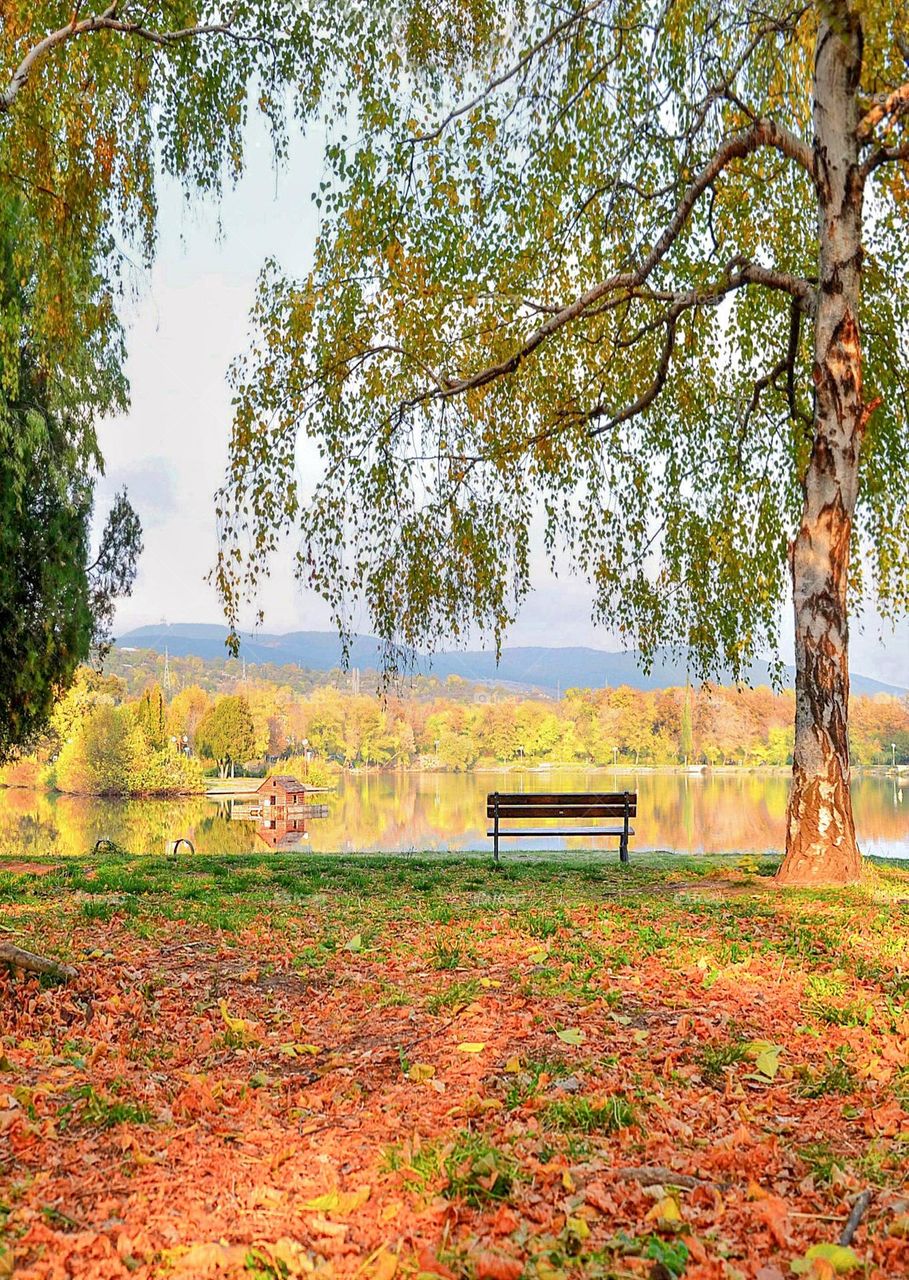 Autumn landscape