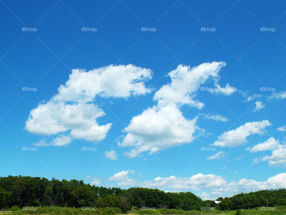 Clouds in the Sky way up High