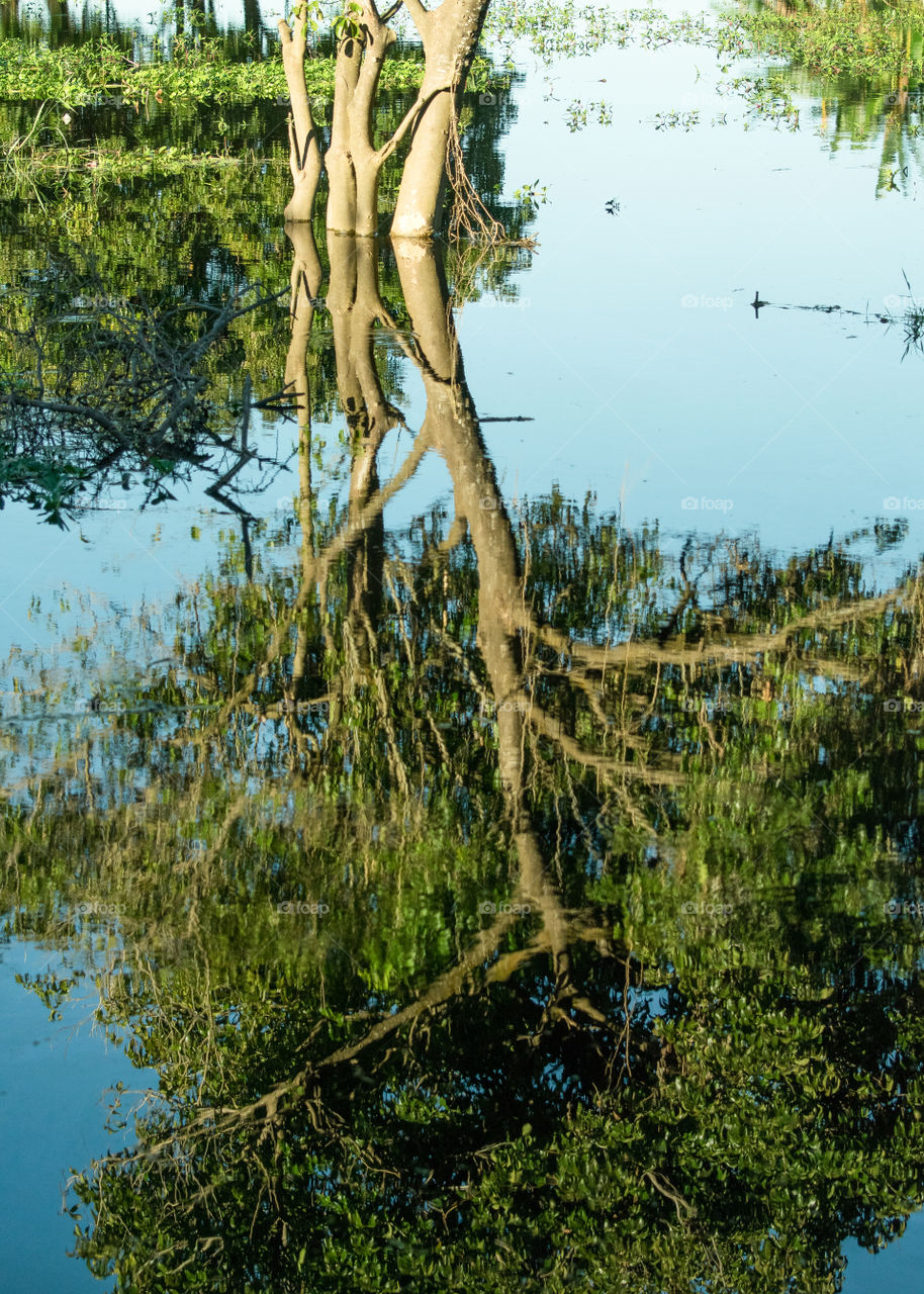 reflection