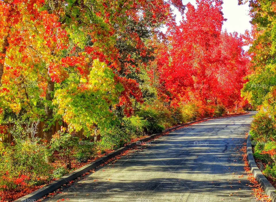 Roads In America