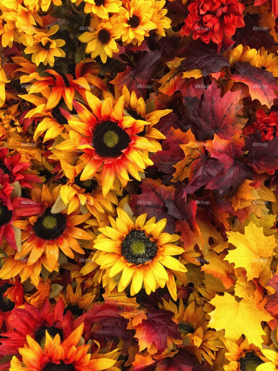 Beautiful fall flowers 