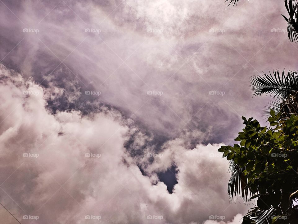 Amazing Sky
Clouds
🌧️💧💧
🌱🌴