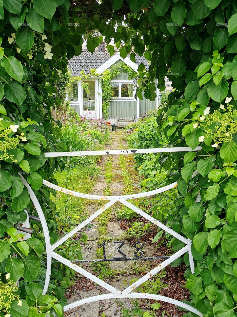 Cottage with garden and a fence