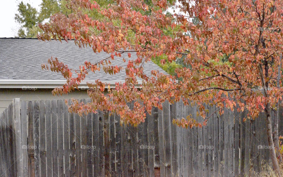 Grey of home can be something to look forward to.