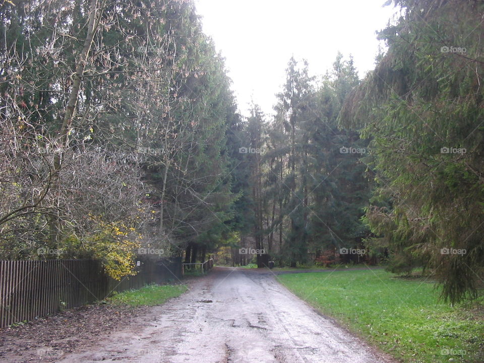 Lead the Way (Austria)