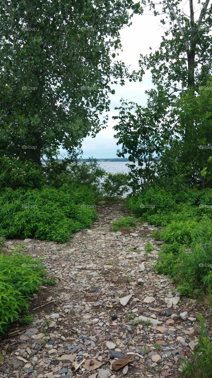 Connecting . trail out to Lake Champlain 