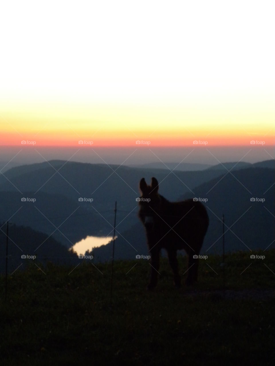 sunrises, sunsets and the Moon