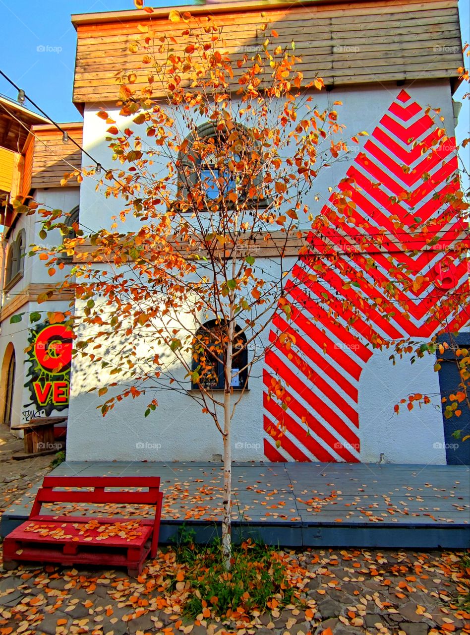 Autumn.  White brick building with wooden windows.  The corner of the house is painted with red lines.  In the foreground there is a tree with red and yellow leaves.  Next to the tree is a red bench with autumn leaves