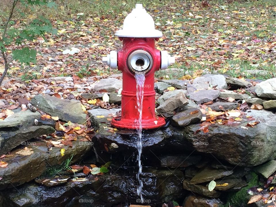 Hydrant